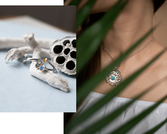 О коллекции